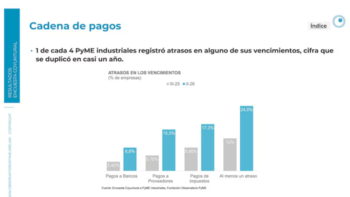 19 pymes1